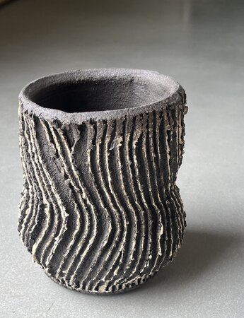 Masterclass Wil Riedijk