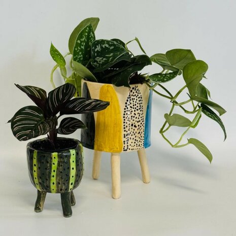 Workshop Plantenpotje&nbsp;