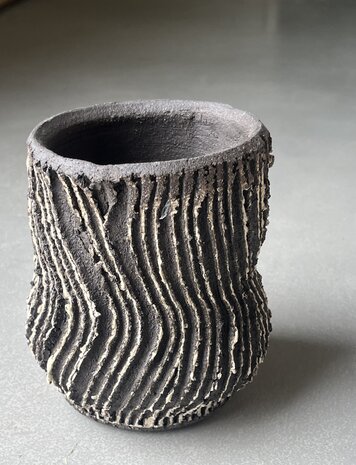 Masterclass Wil Riedijk